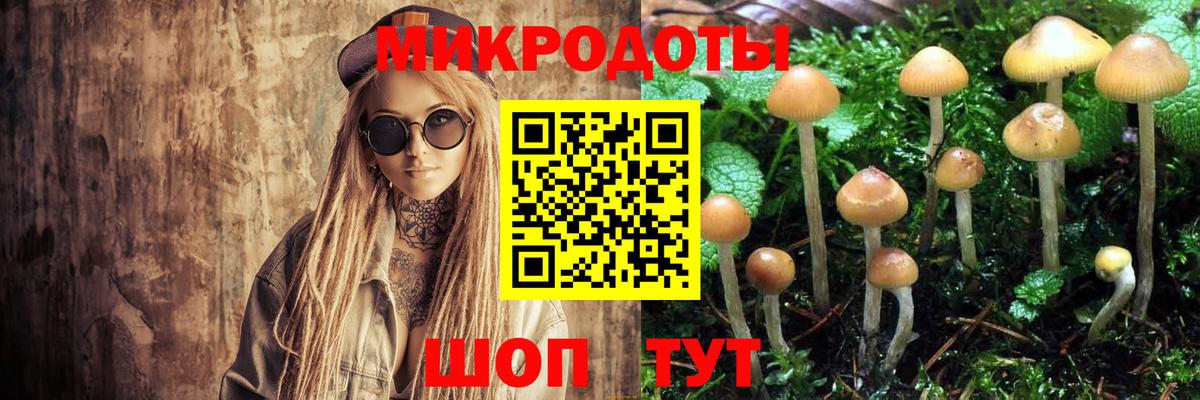 Псилоцибиновые грибы прущие грибы Кашира